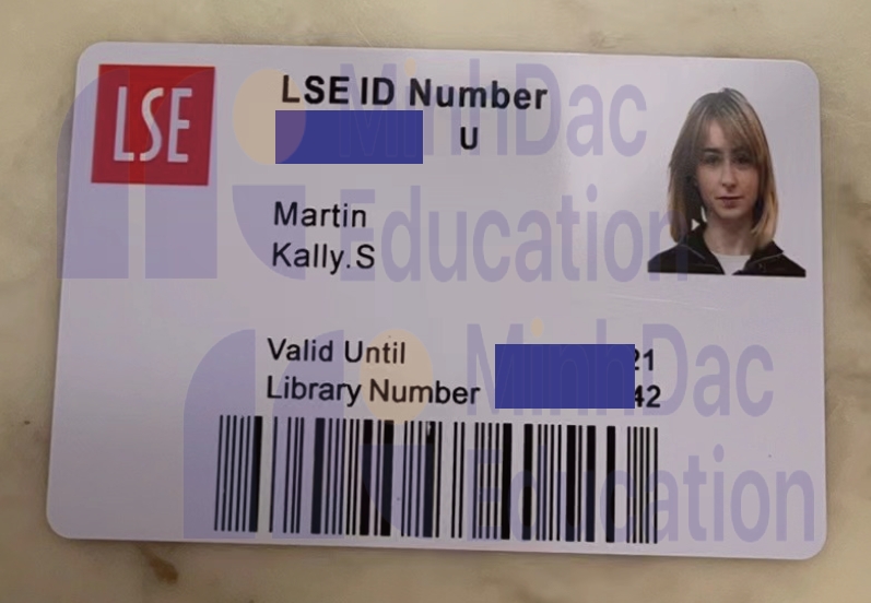 LSE博士学术顾问